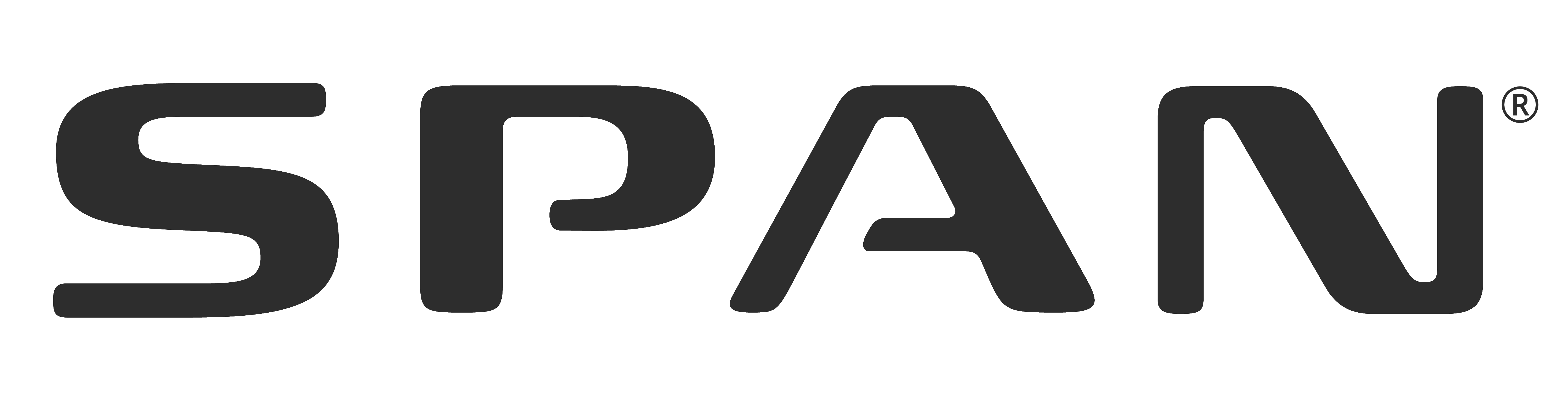 What is a SPAN Electrical Panel