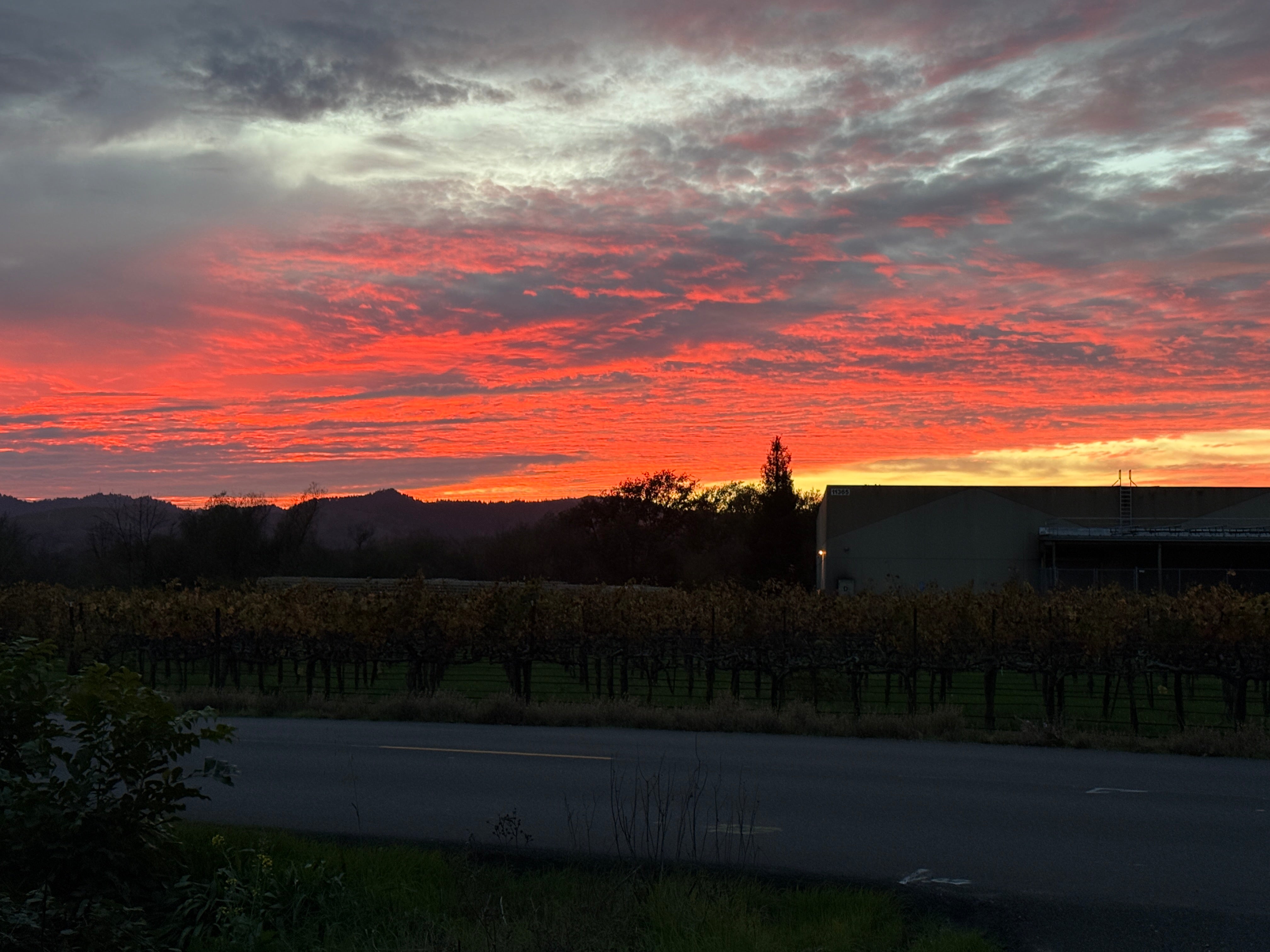 Sonoma County Sunset